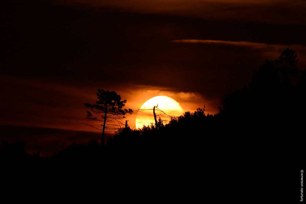 la luna che sorge dietro il Monte Bignone
