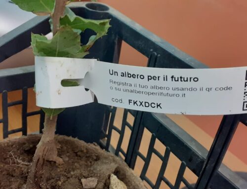 Legalità e attenzione all’ambiente: gli studenti di Alassio impegnati nel progetto “Un albero per il futuro”