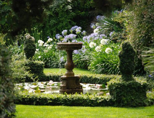 Sabato 1 e domenica 2 giugno “Appuntamento in Giardino” 2024 ai Giardini di Villa della Pergola di Alassio